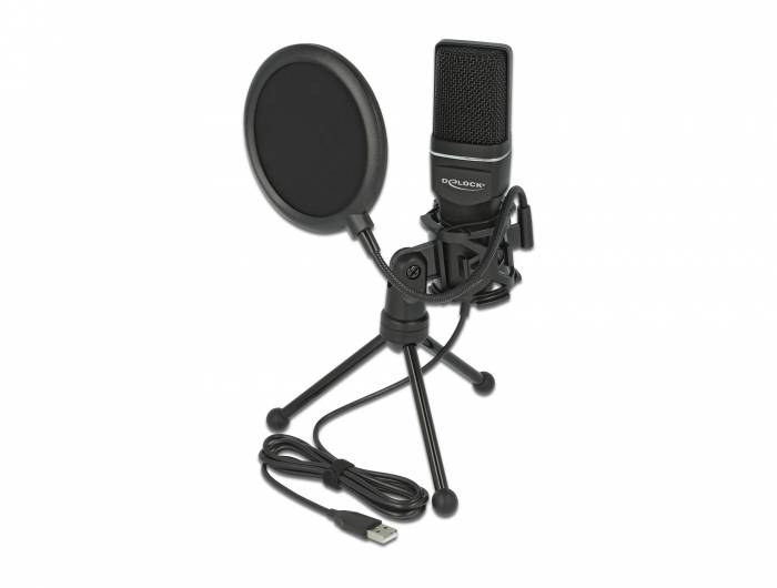 Delock USB Condenser Microphone Set for Podcasting, Gaming and Vocals