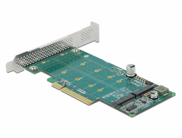 DeLOCK PCI Express x8 Card to 2 x internal NVMe M.2 Key M