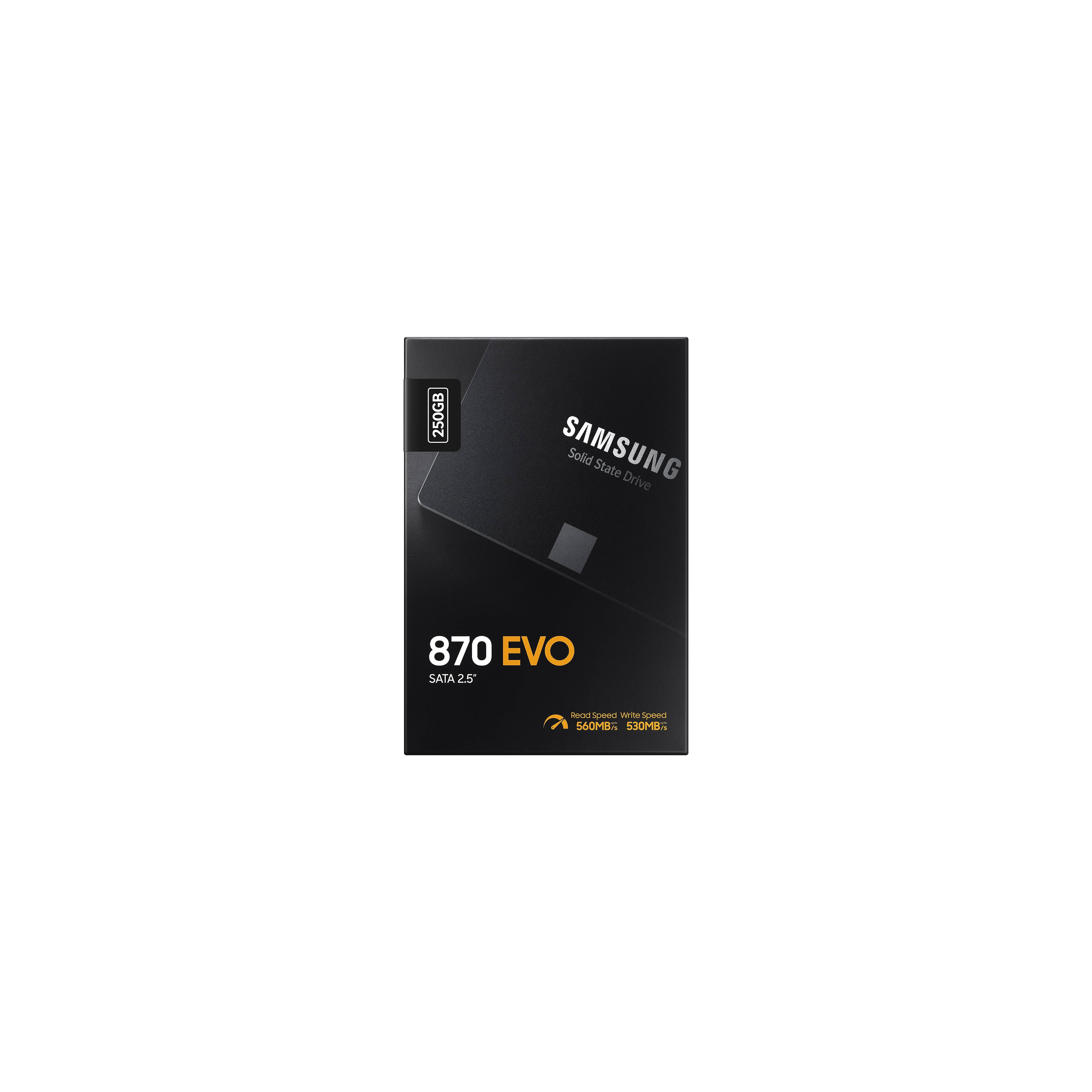 Samsung 870 EVO MZ-77E250B - SSD - verschlüsselt - 250 GB - intern - 2.5" (6.4 cm)