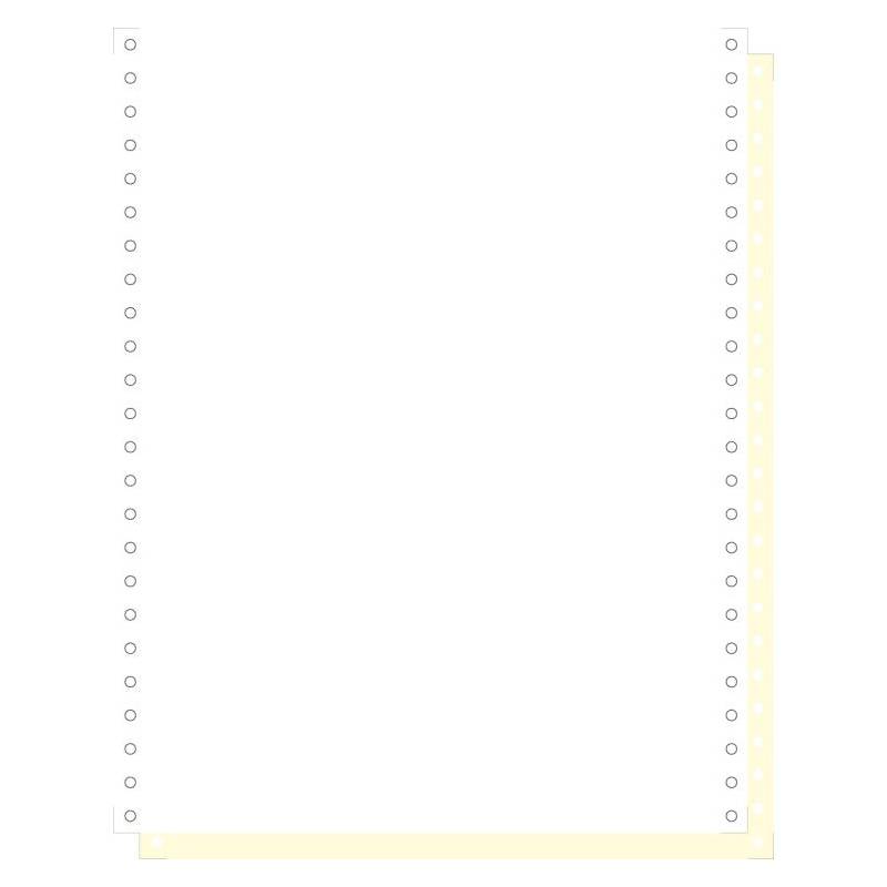 EXACOMPTA Computerpapier endlos, 240 mm x 12" (30,48 cm)