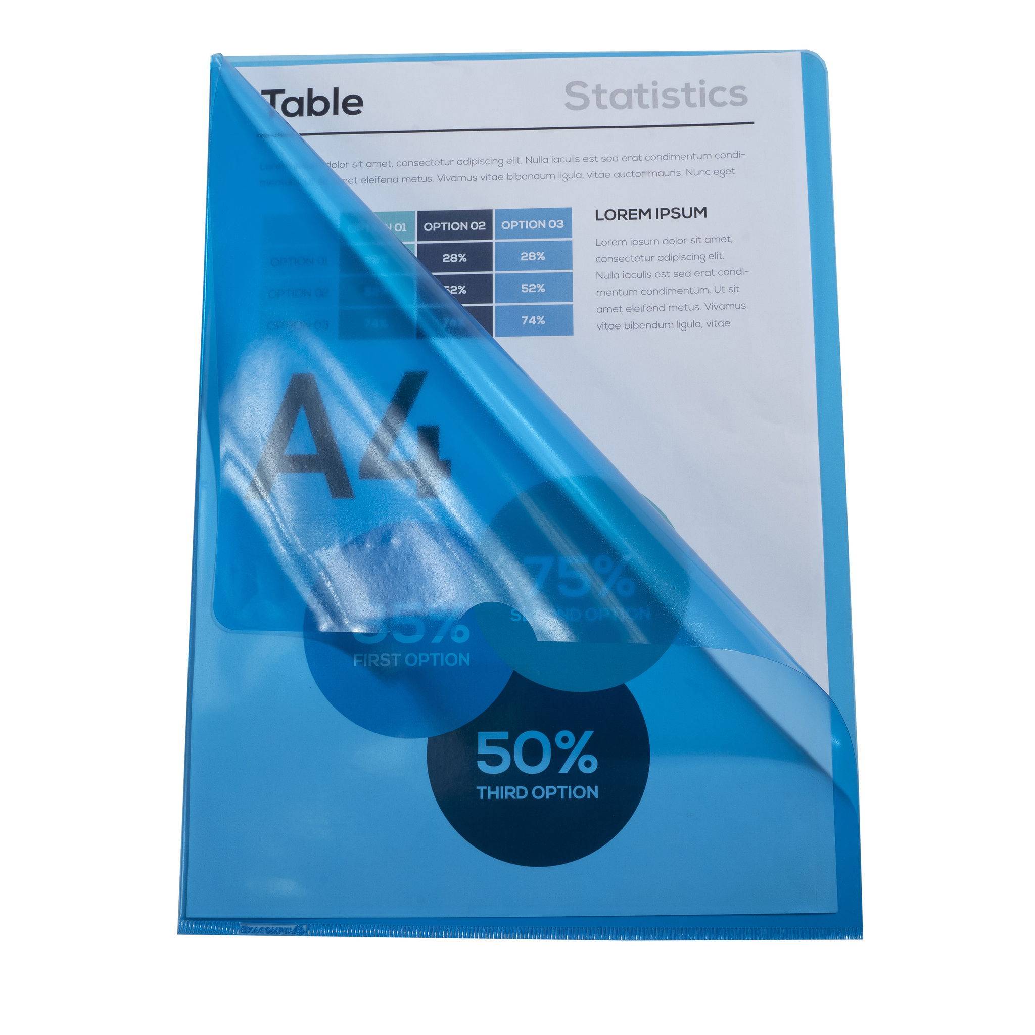 Exacompta Pack 100 Aktensichthüllen glattem festem PVC 130µ A4 Blau 661225E