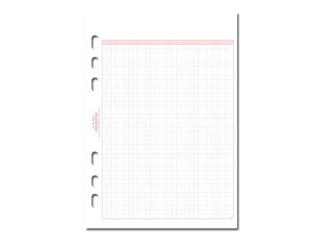 AVERY ZWECKFORM - Chronoplan - Blatt - A5 - 50 Blatt - Kariert