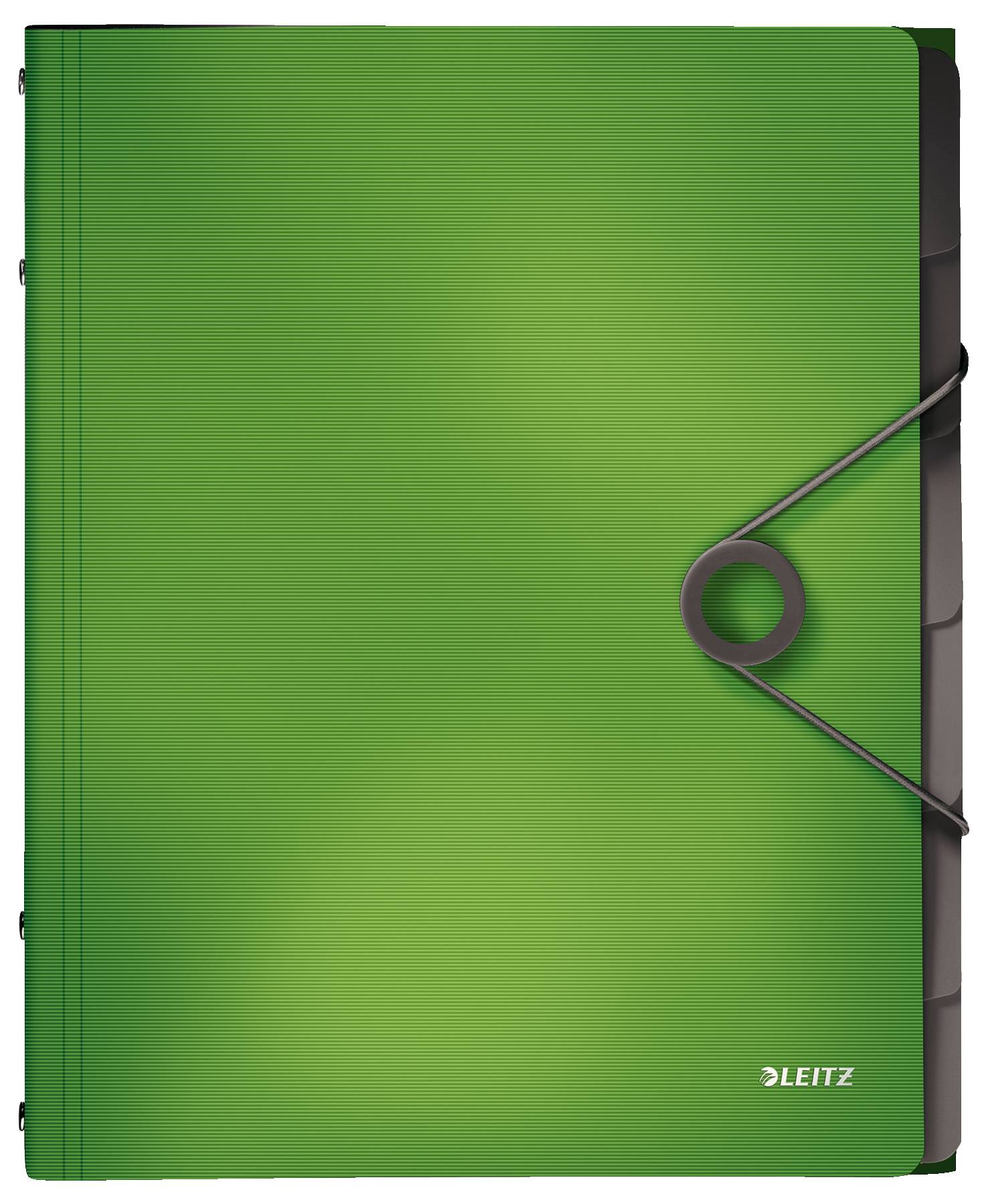 Esselte Leitz Solid - Gliederungsordner - 6 Teile - für A4