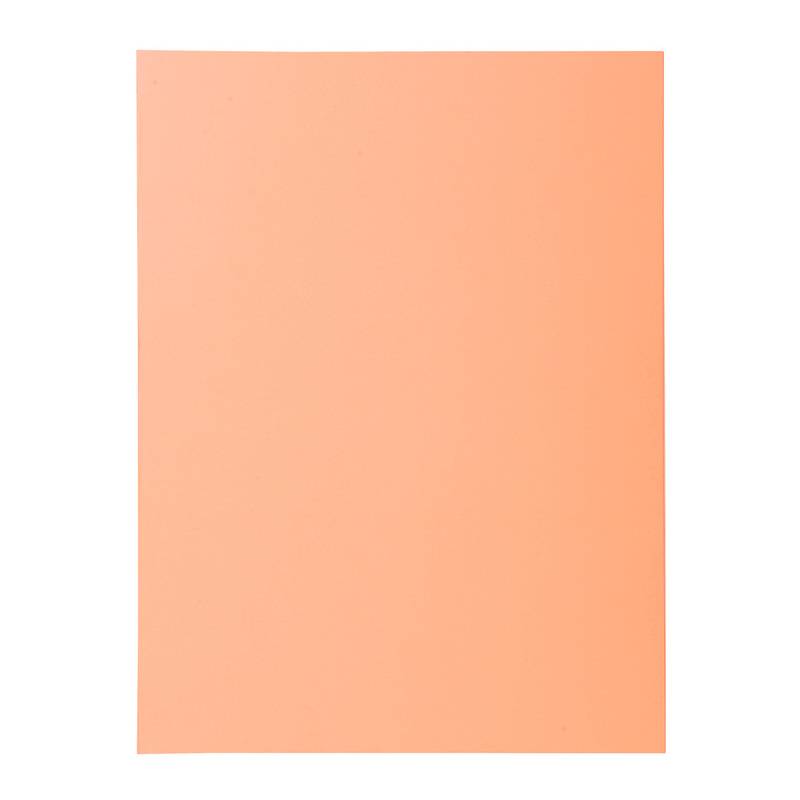 EXACOMPTA Aktendeckel SUPER 250, DIN A4, chamois
