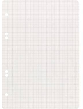 Landré Ringbucheinlage 100050496 DIN A5 kariert weiß 50 Bl./Pack.