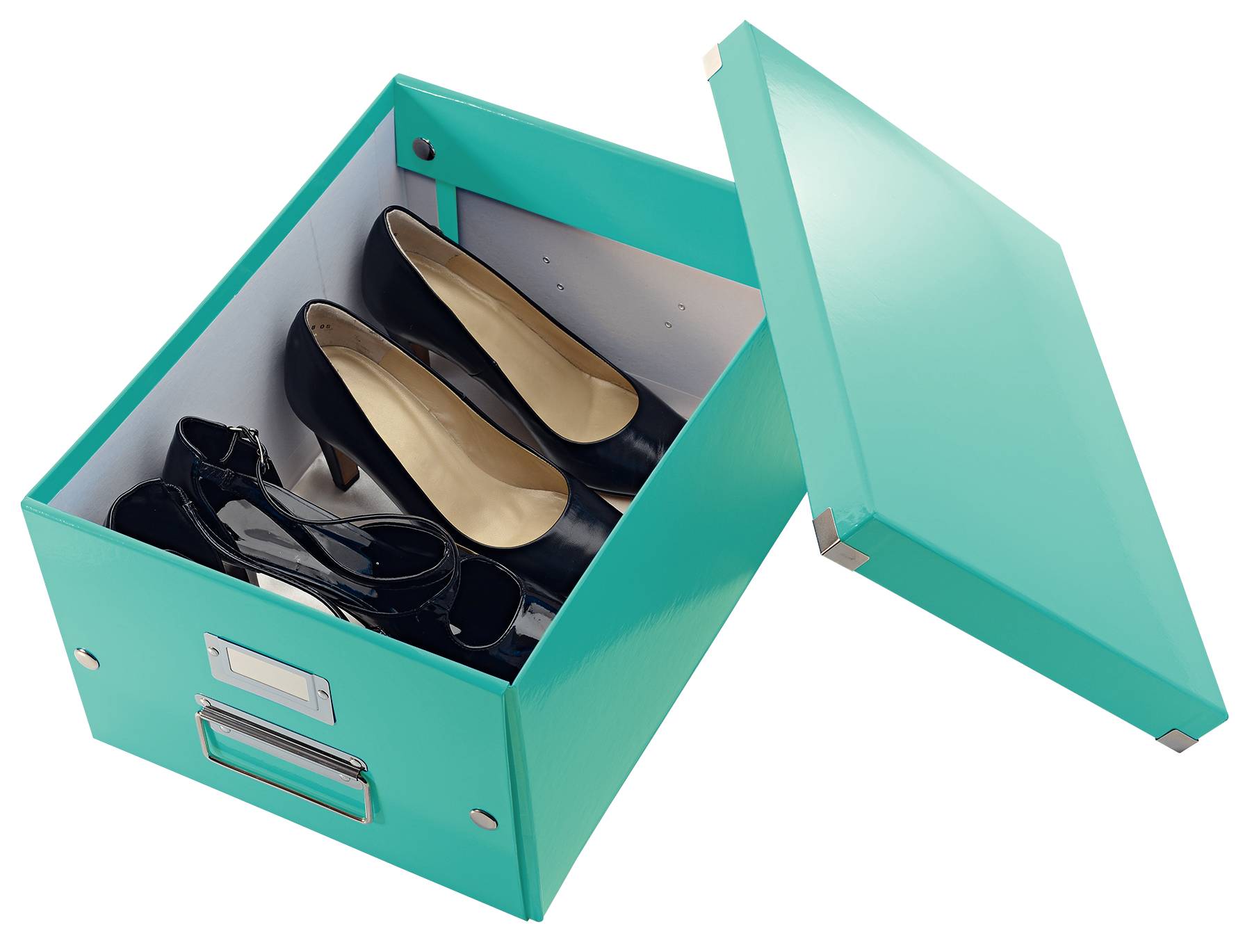 Esselte Leitz Click & Store - Aufbewahrungsbox - für A4 (210 x 297 mm)
