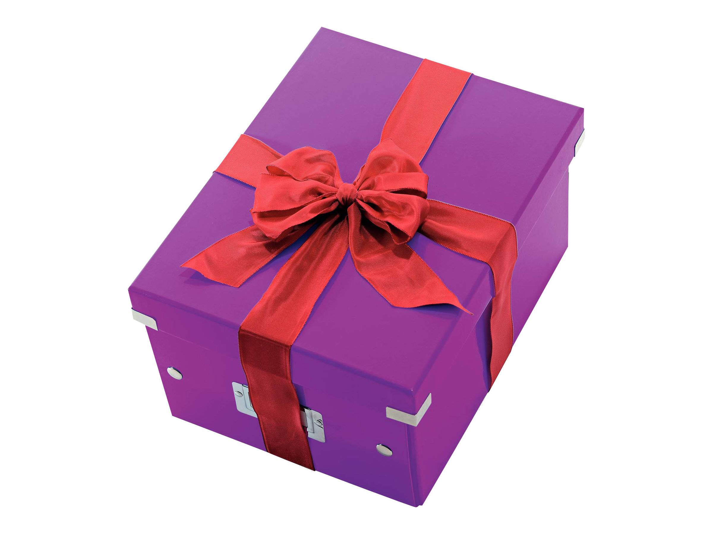 Esselte Leitz Click & Store - Aufbewahrungsbox - für A4 (210 x 297 mm)