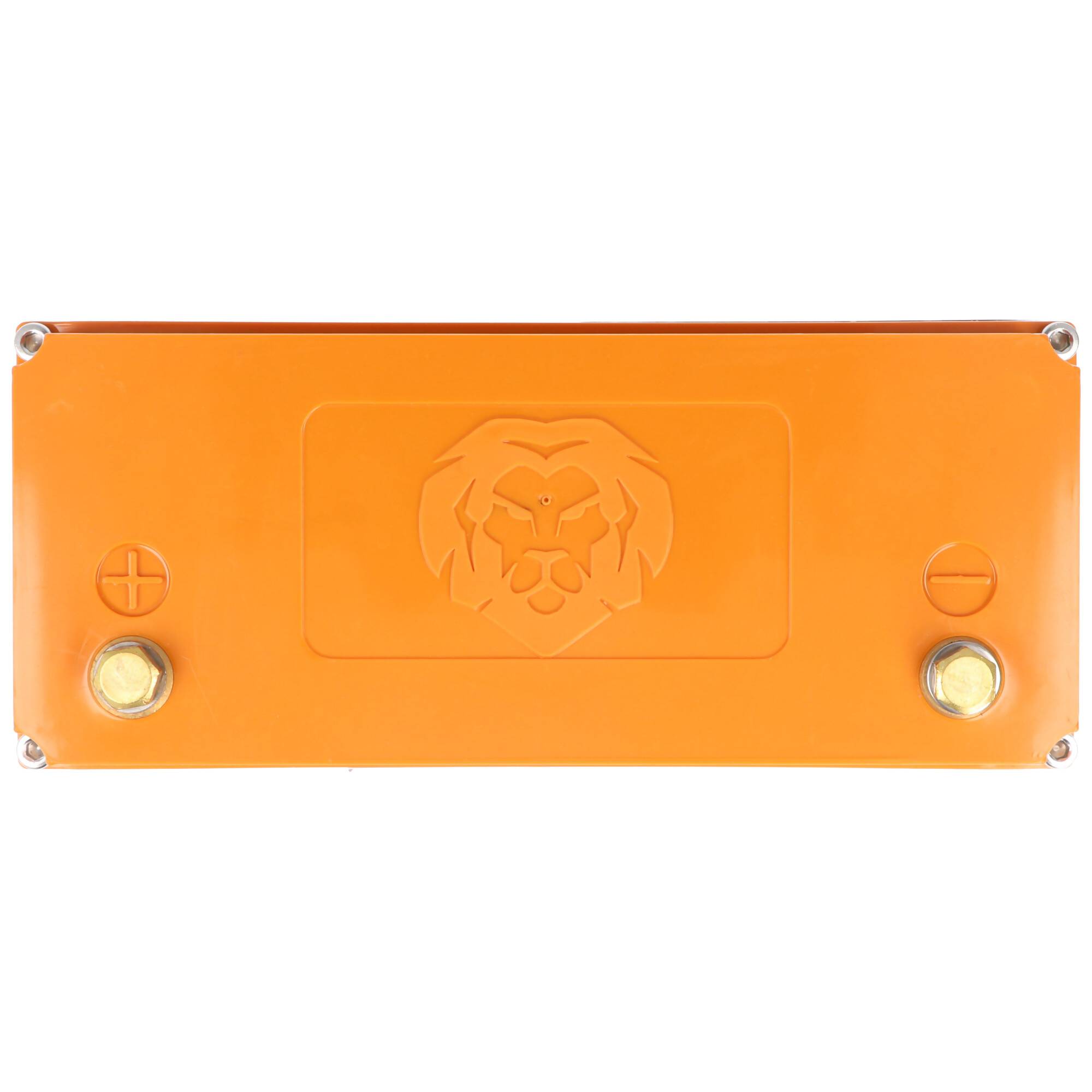 LIONTRON LiFePO4 Akku 12,8V, 10,5Ah - Vollwertiger Ersatz für 12 Volt Blei-Akkus