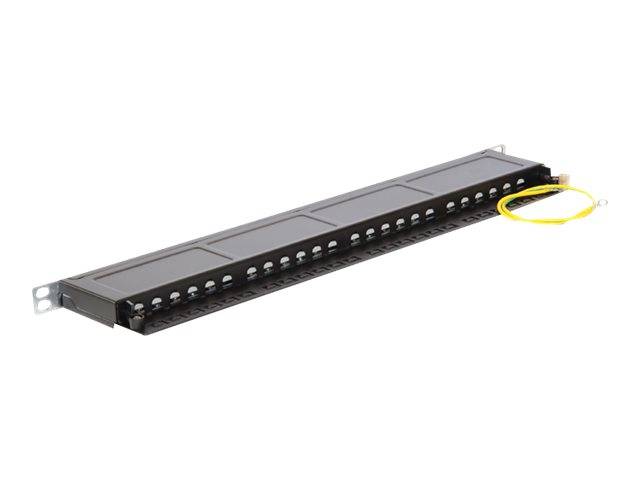 DeLOCK - Patch Panel - RJ-45 X 24 - Jet Black, RAL 9005 - 0.5U - 48.3 cm (19")