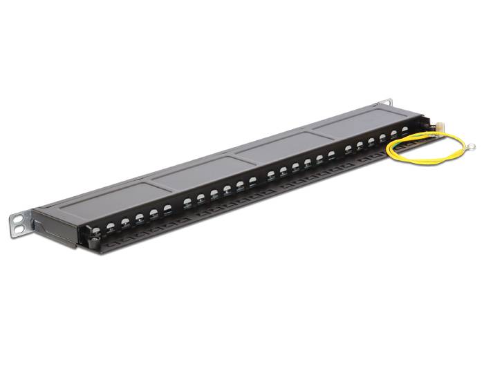 DeLOCK - Patch Panel - RJ-45 X 24 - Jet Black, RAL 9005 - 0.5U - 48.3 cm (19")
