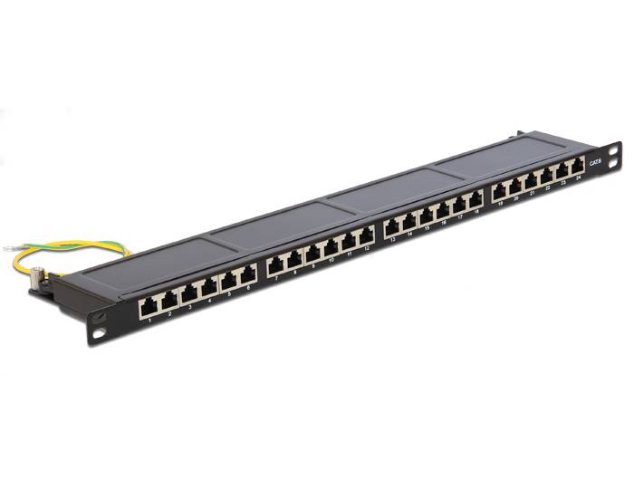 DeLOCK - Patch Panel - RJ-45 X 24 - Jet Black, RAL 9005 - 0.5U - 48.3 cm (19")