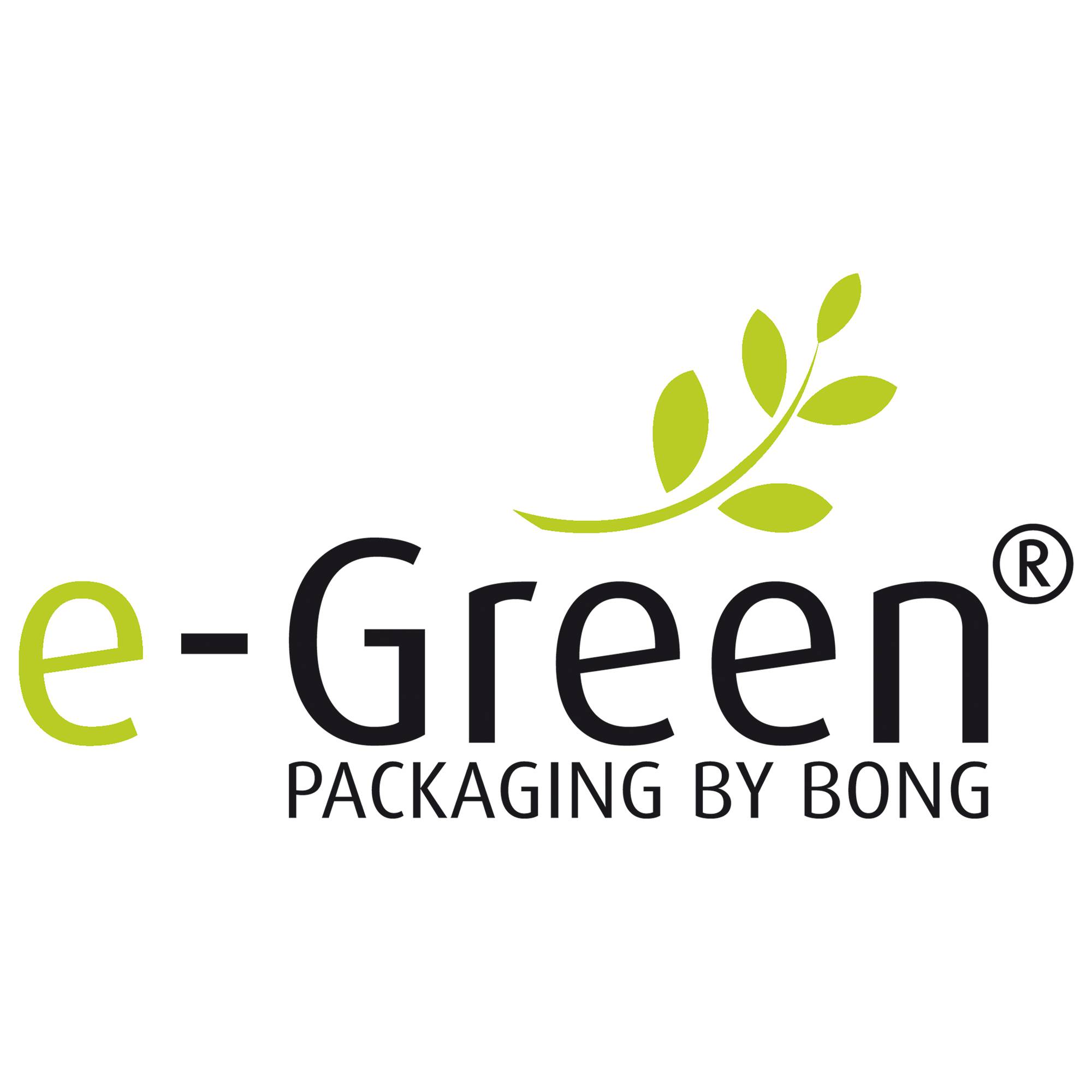 e-Green Faltentasche 00069114 KB 350x450x80+100mm br 200 St./Pa