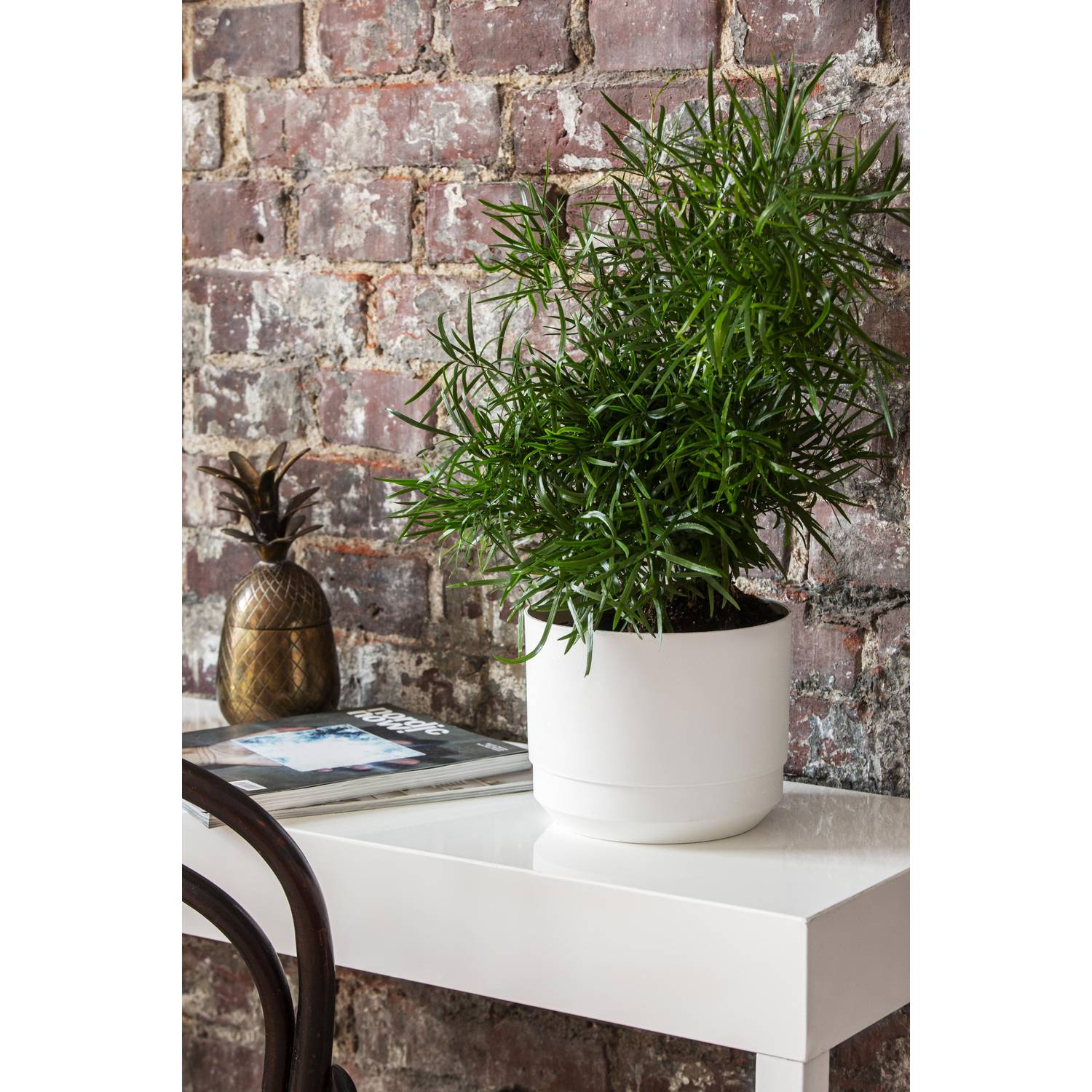 ORTHEX Blumentopf Paulina mit Bewässerungssystem Ø17cm weiß, weiß