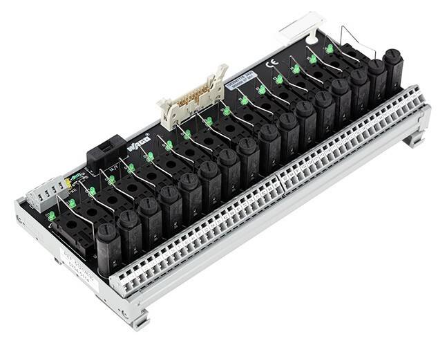 Nahaufnahme einer elektronischen Klemmleistengruppe mit mehreren schwarzen Relais- oder Sicherungssteckern, Schraubklemmen und Anschlussports auf einer weißen Basis.