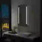 vidaXL Badezimmer-Wandspiegel mit LED und Ablage 60x100 cm vidaXL Badezimmer-Wandspiegel mit LED und Ablage 60x100 cm