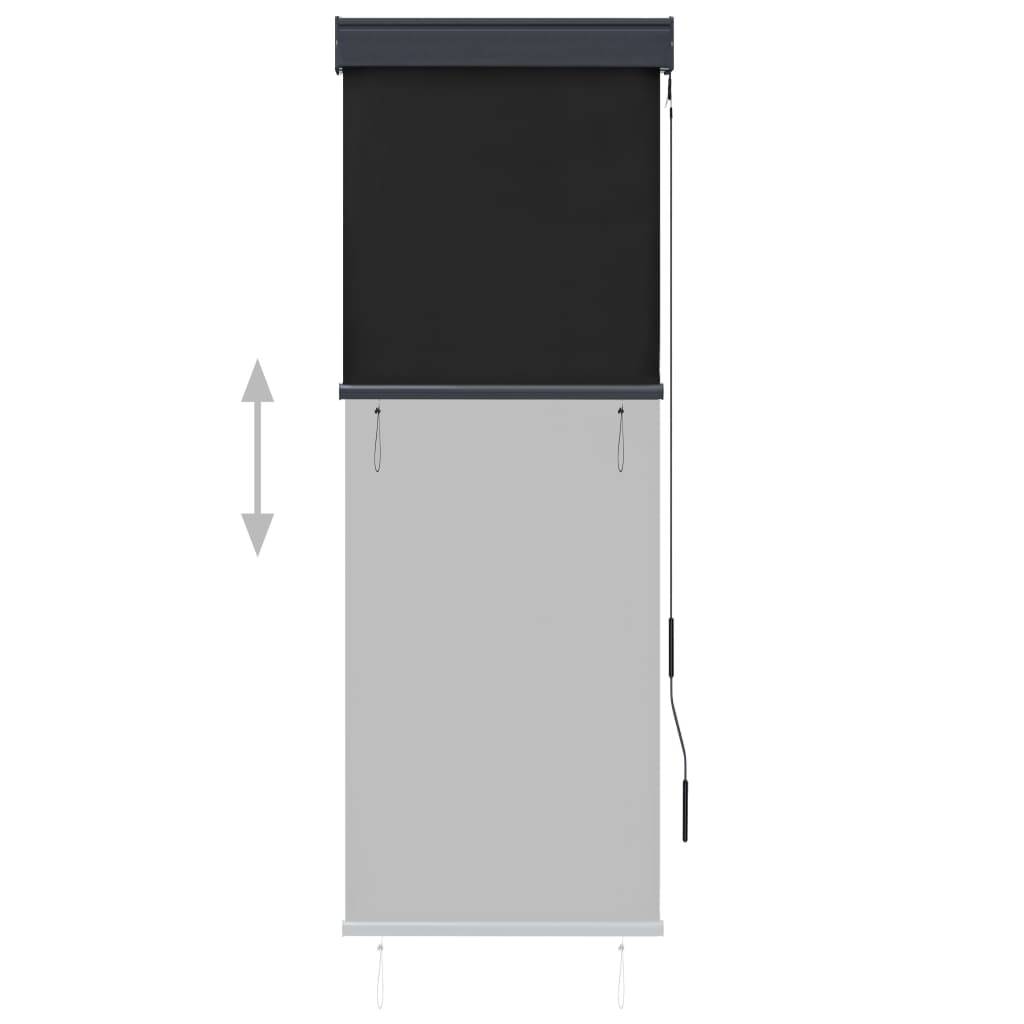vidaXL Außenrollo 60 x 250 cm Anthrazit
