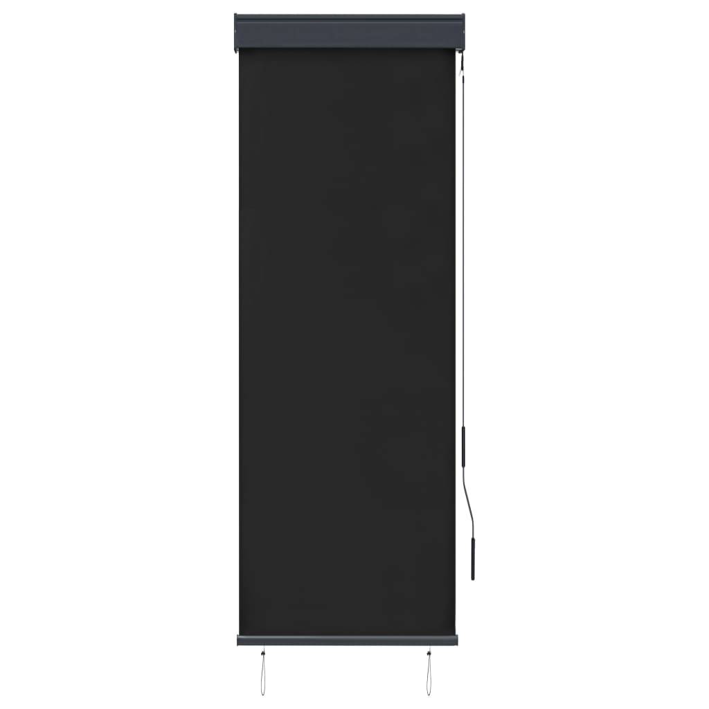 vidaXL Außenrollo 60 x 250 cm Anthrazit