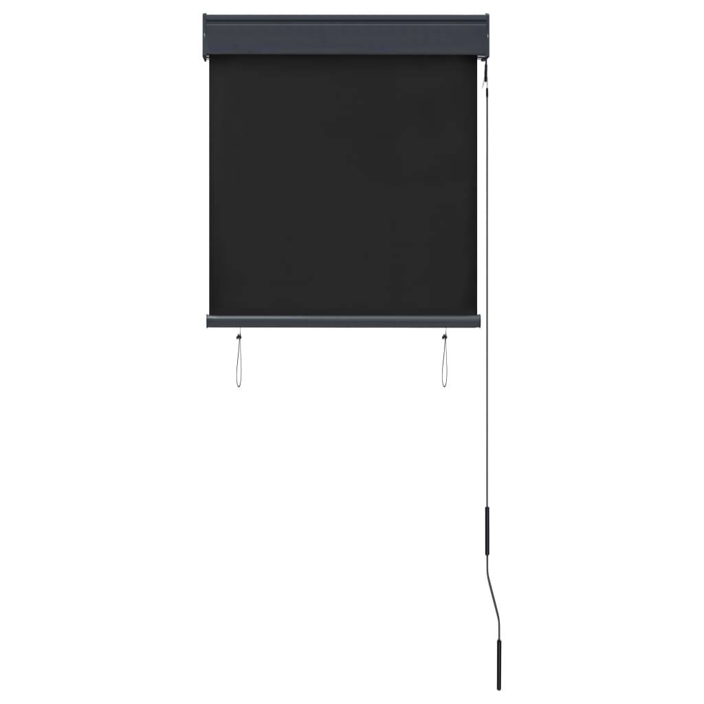 vidaXL Außenrollo 60 x 250 cm Anthrazit