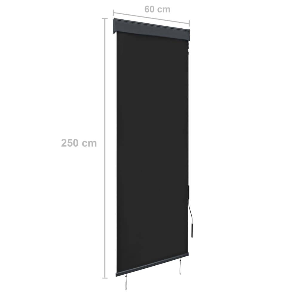 vidaXL Außenrollo 60 x 250 cm Anthrazit