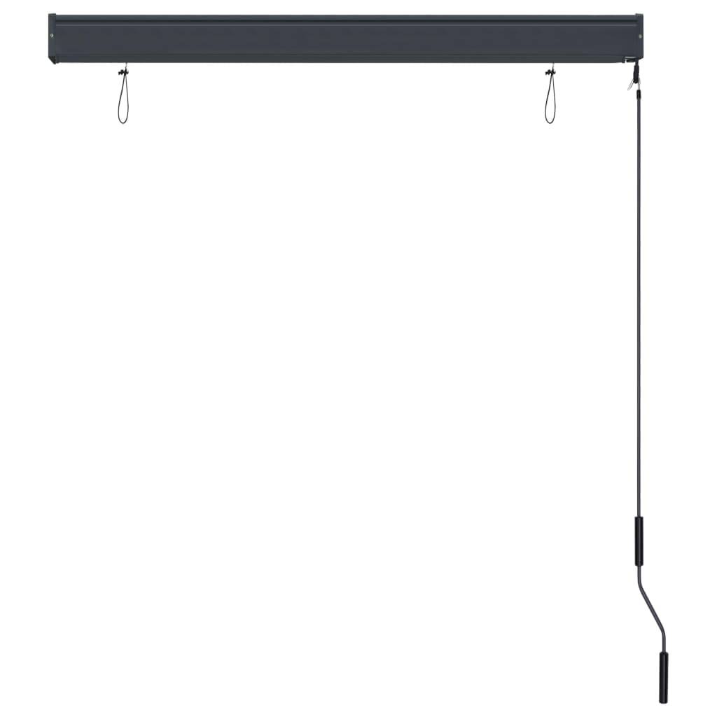 vidaXL Außenrollo 120 x 250 cm Anthrazit