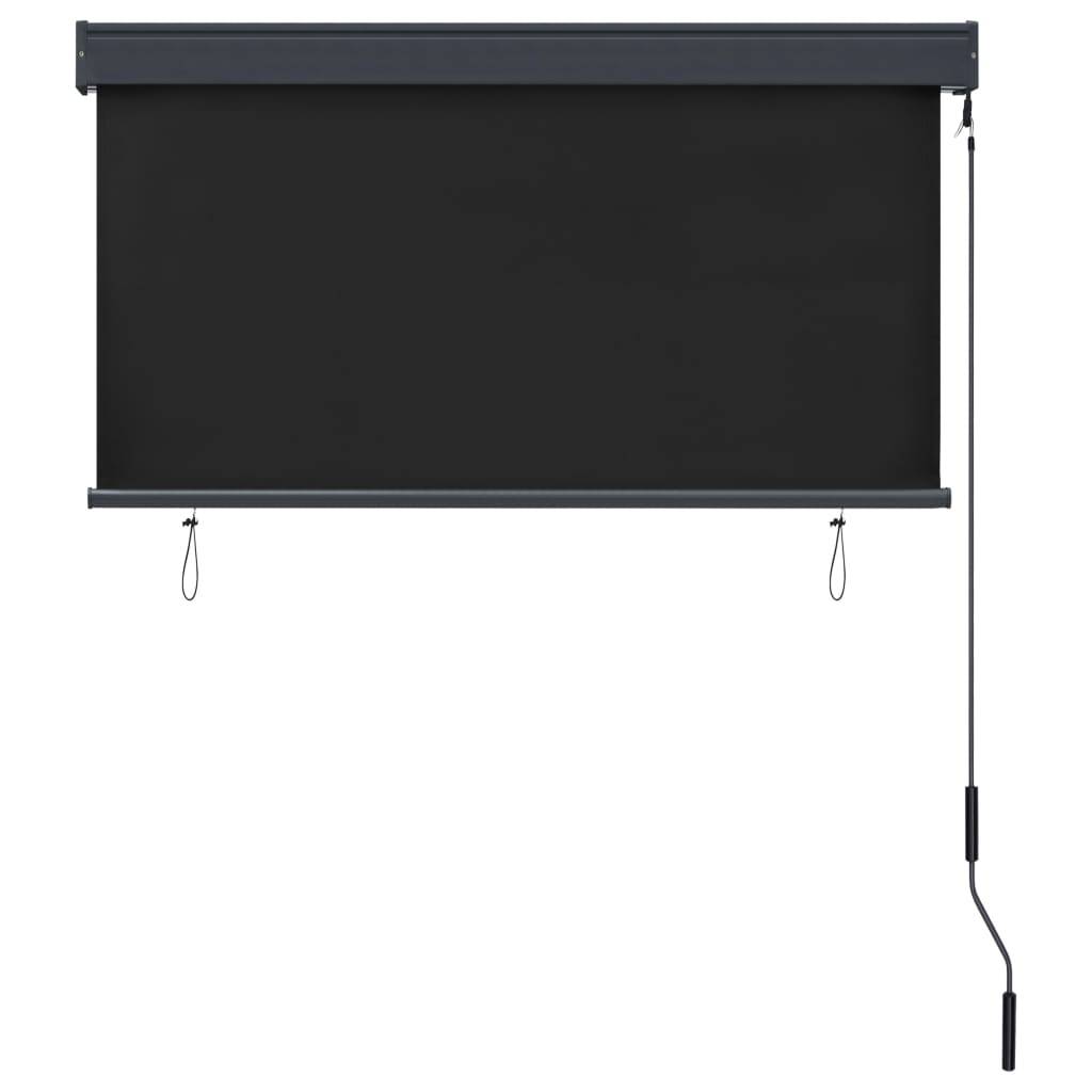 vidaXL Außenrollo 120 x 250 cm Anthrazit