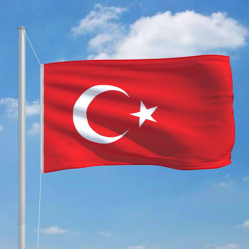 vidaXL Flagge der Türkei 90 x 150 cm