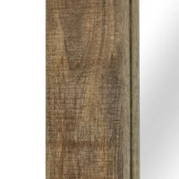 vidaXL Spiegel Mangoholz Massiv 50 x 110 cm vidaXL Spiegel Mangoholz Massiv 50 x 110 cm