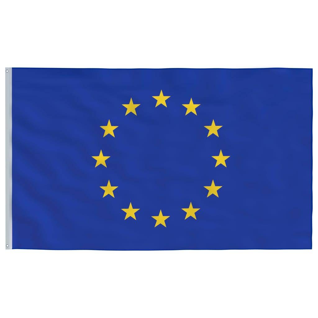 vidaXL Europaflagge mit Mast 5,55 m Aluminium