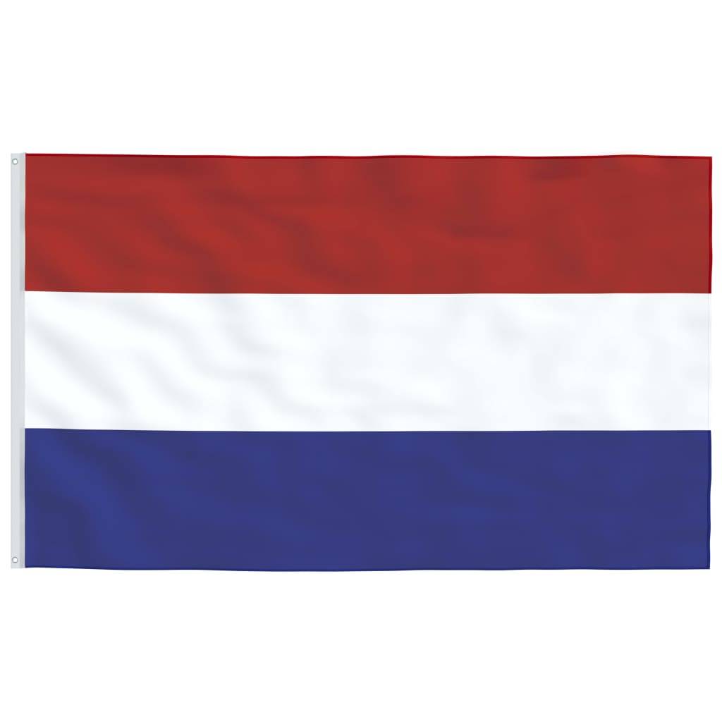 vidaXL Niederländische Flagge mit Mast 6,23 m Aluminium