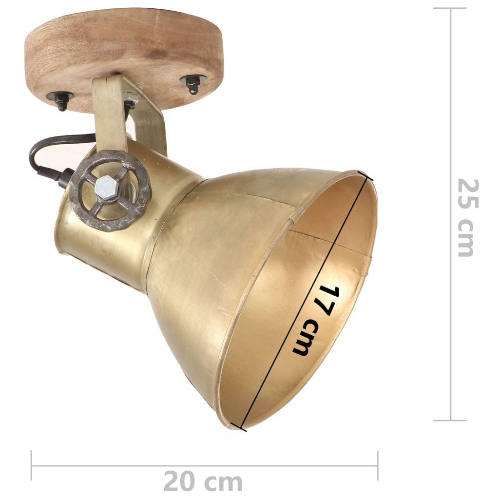 vidaXL Wand-/Deckenlampen Industriestil 2 Stk. Messing 20x25 cm E27