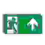 Aufkleber Rettungsweg geradeaus, E002+Pfeil, transparent/grün, Folie, 190x95mm