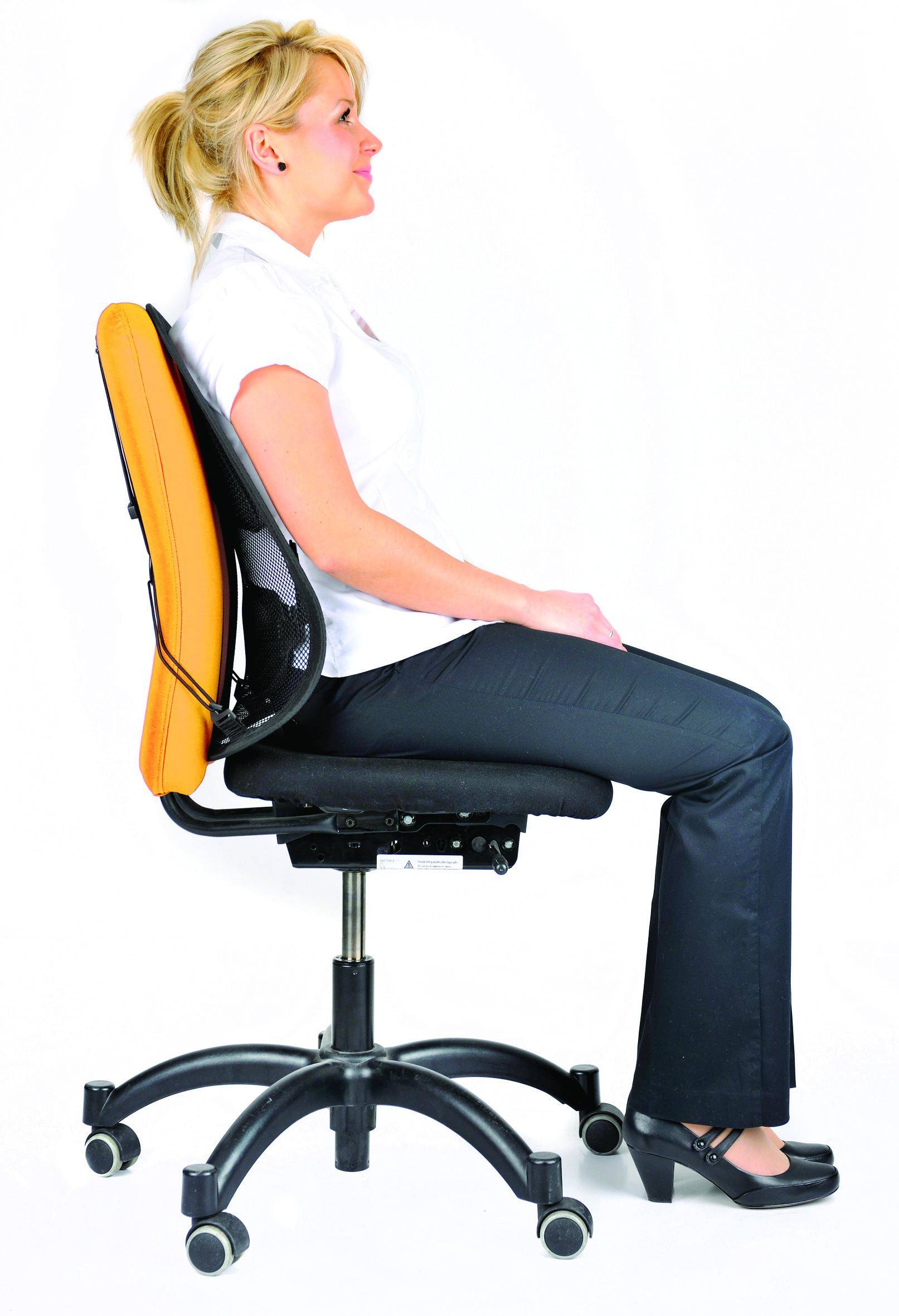 Fellowes 8029901, Graphit, 580 g