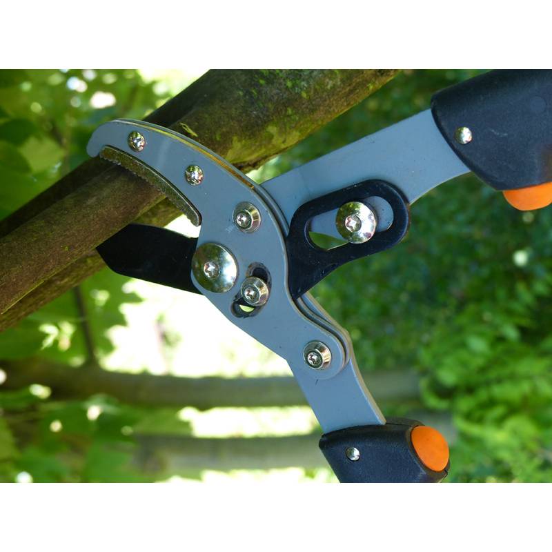 Eine Gartenschere, die einen Baumast durchtrennt, umgeben von grünen Blättern. Die Schere hat schwarze und orange Griffe.