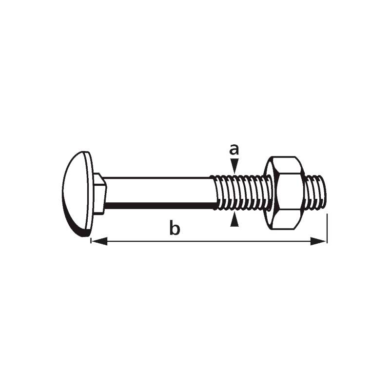 Diagramm einer Schraube mit einer Mutter. Der Kopf ist abgerundet, die Gewindelänge der Schraube ist mit 'a' gekennzeichnet und die Gesamtlänge ist mit 'b' gekennzeichnet.