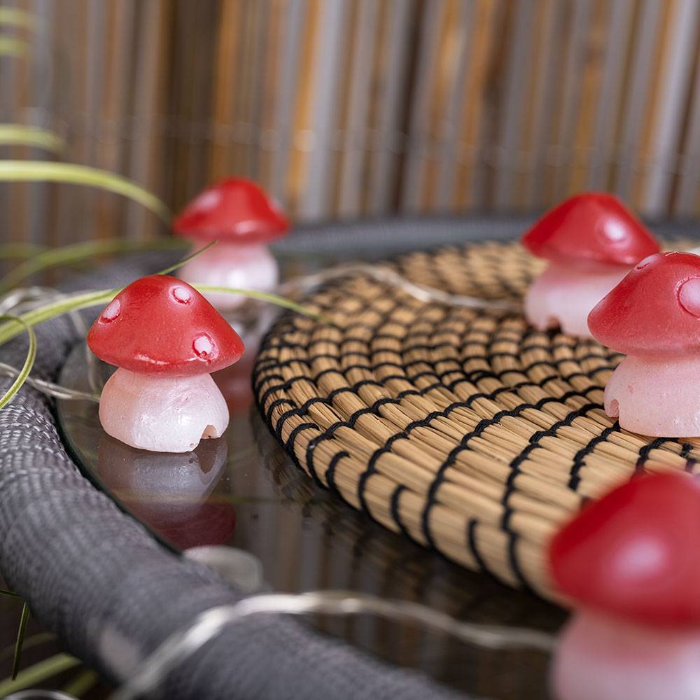 Solar Pilz Solar Terrassenbeleuchtung für Außen Lichterkette Pilze, 6x Fliegenpilze, LED Akku, L 270 cm, Garten Terrasse