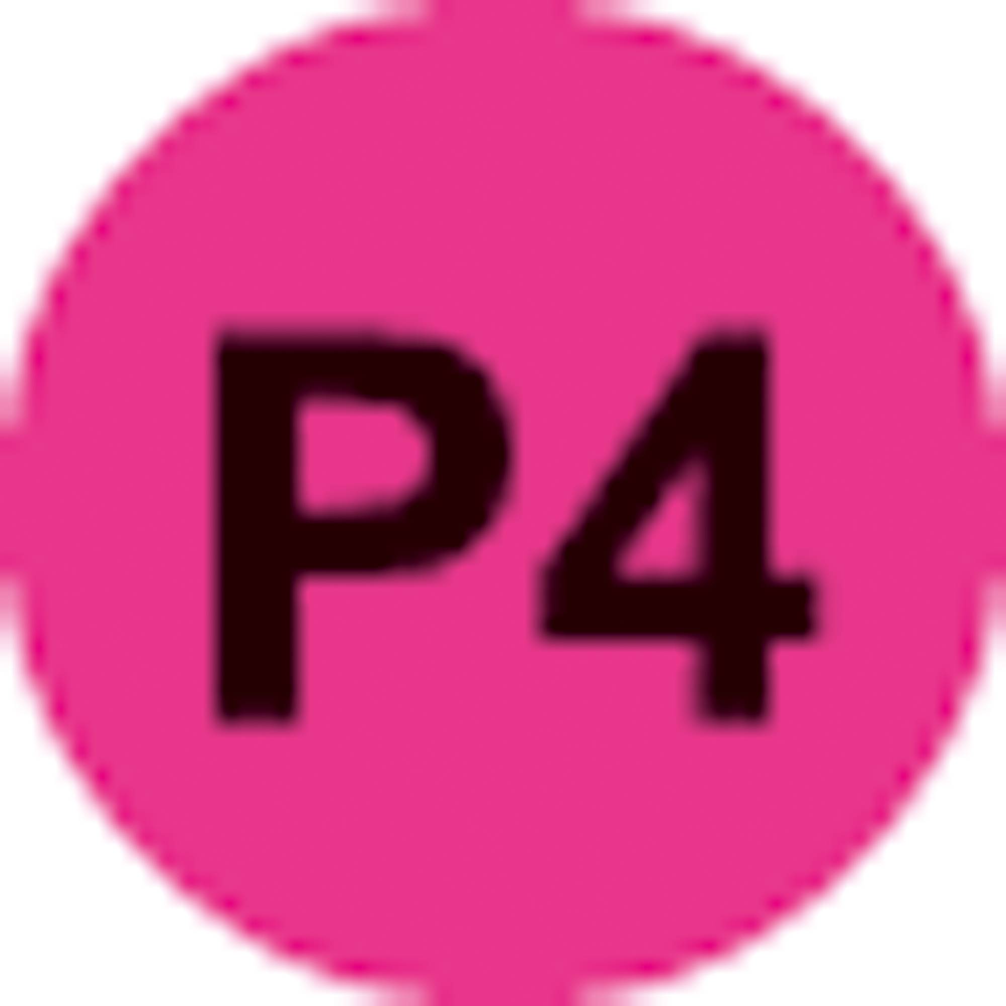 Rexel Aktenvernichter Secure X6 P4 2020122EU