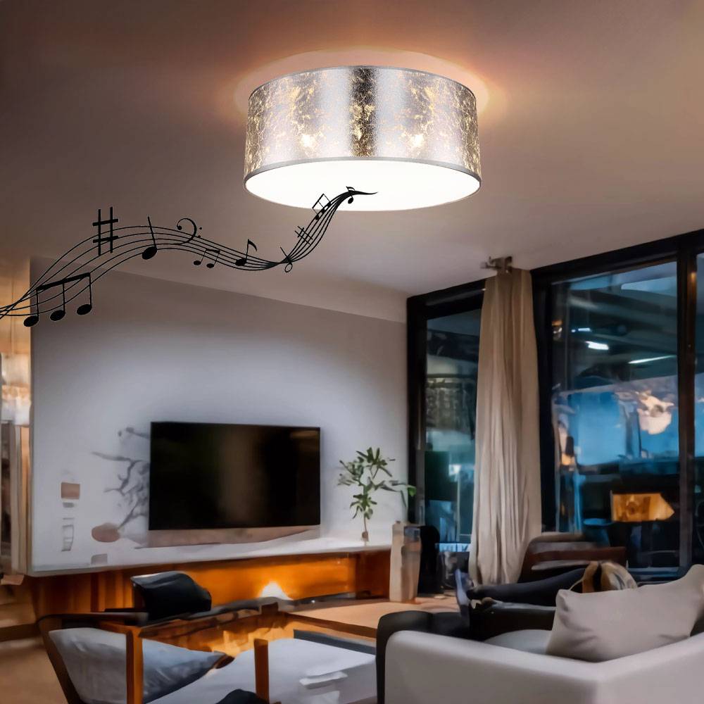 Deckenlampe mit Bluetooth Lautsprecher 40 cm Schlafzimmerlampe silber Deckenlampe Wohnzimmer, Fernbedienung dimmbar, 3x RGB LED 8,5W 806Lm warmweiß