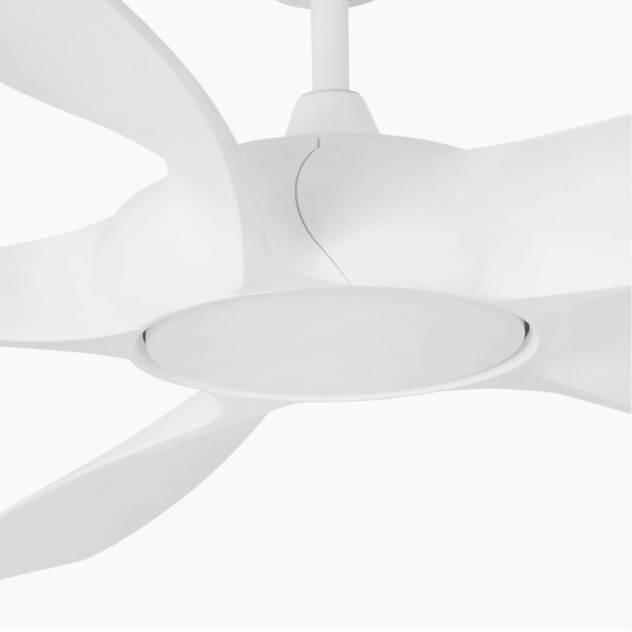DC Deckenventilator Cocos mit LED & Fernbedienung
