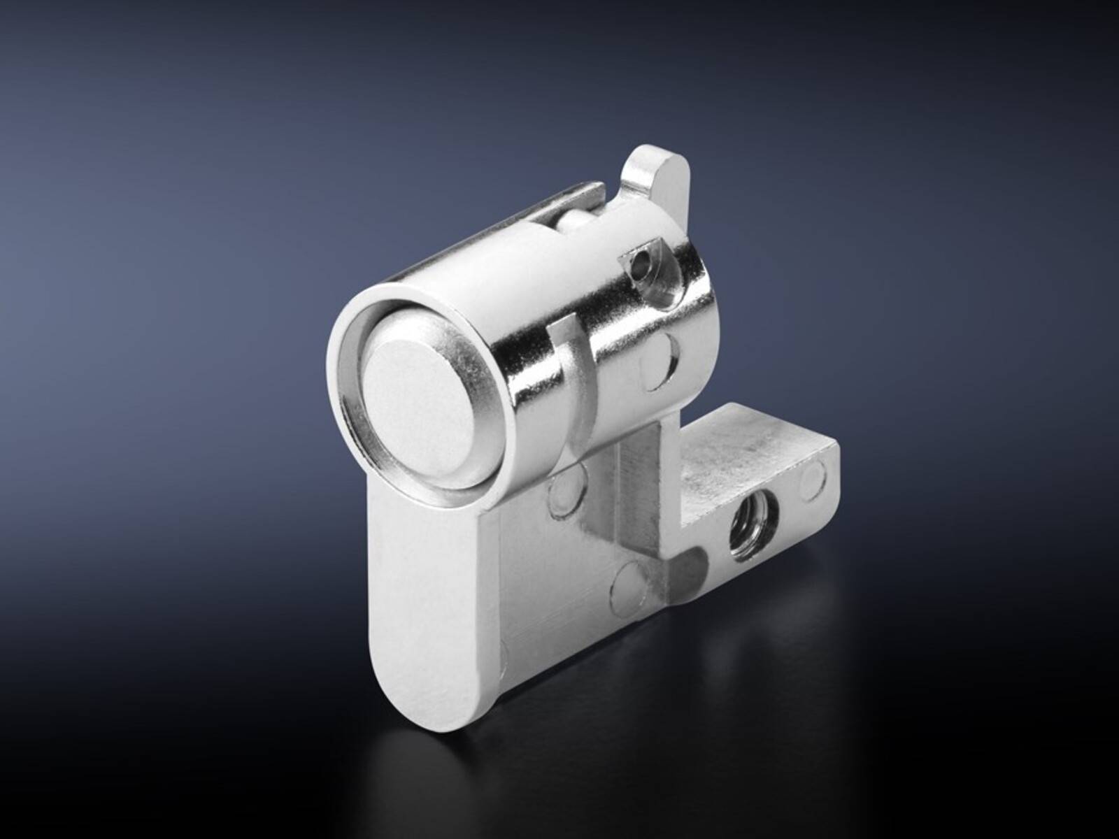 Rittal Verschlußeinsatz SZ 2468.000