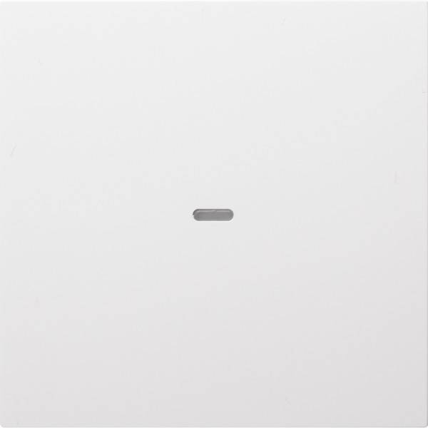 Berker Tast-Abdeckung 1f. pws 80960289