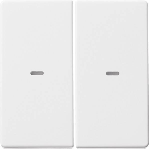 Berker Tast-Abdeckung 2f. pws 80960329