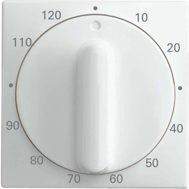 Busch-Jaeger Zentralscheibe alpinweiß 1771-914-103