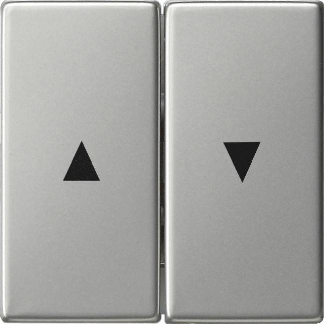 Gira Wippe 2fach Pfeilsymbol 0294600
