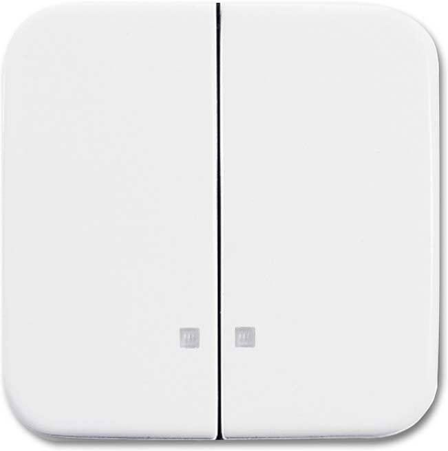 Busch-Jaeger Wippe 2505 K-214