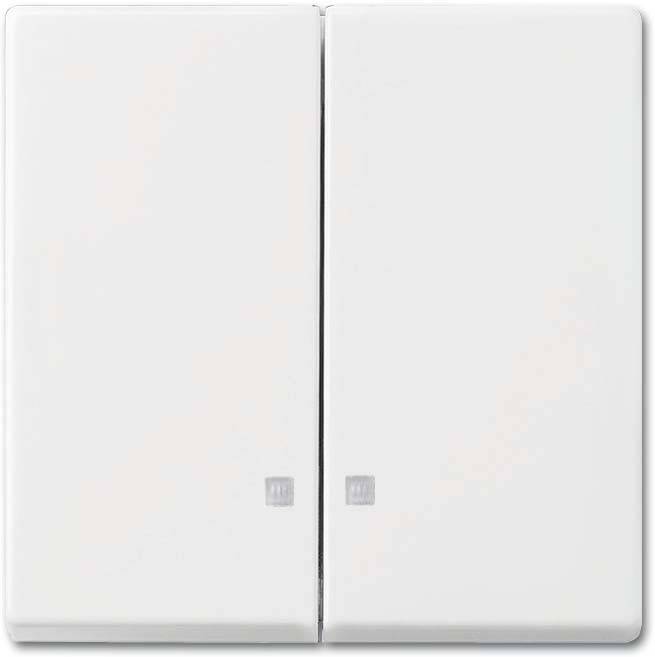 Busch-Jaeger Wippe 2505 K-914