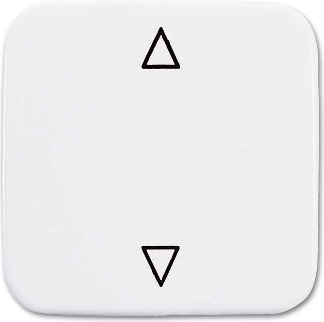 Busch-Jaeger Wippe 2506 JA/02-214