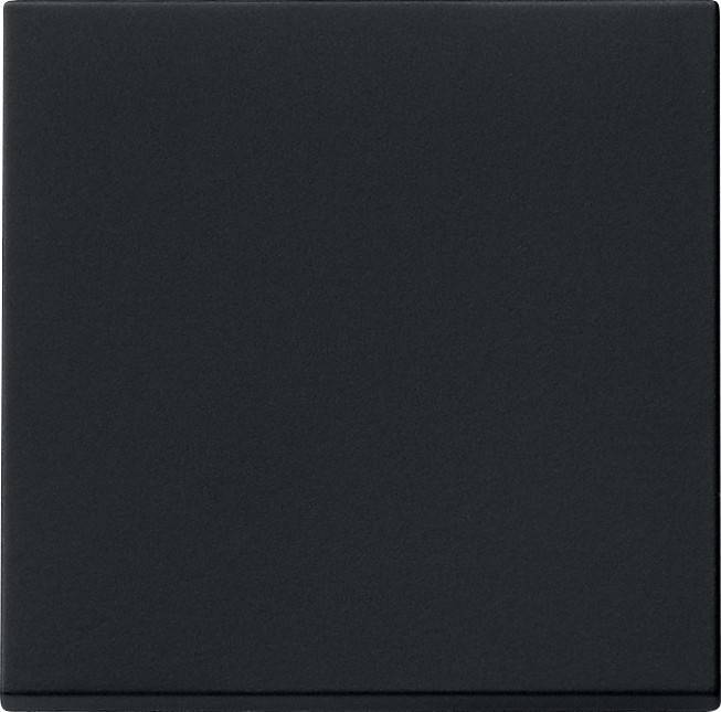 Gira Wippe sw 0296005