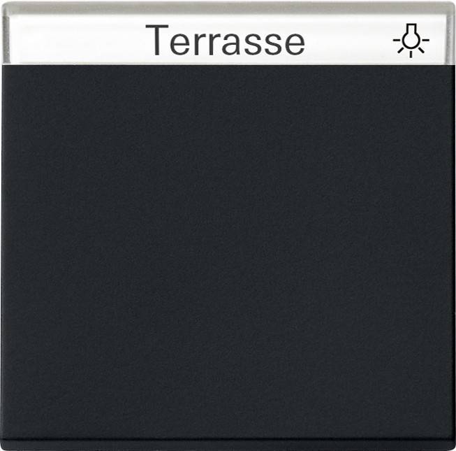 Gira Wippe sw 0299005