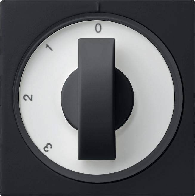 Gira Abdeckung sw 0669005