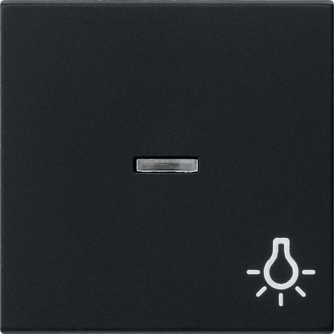 Gira Wippe sw 0674005